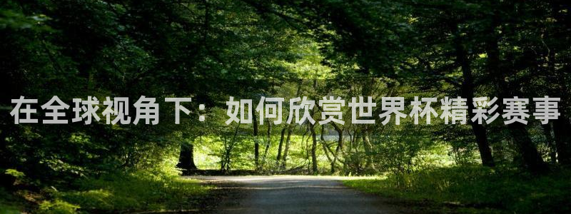 2026世界杯官网入口:在全球视角下:如何欣赏世界杯精彩赛事