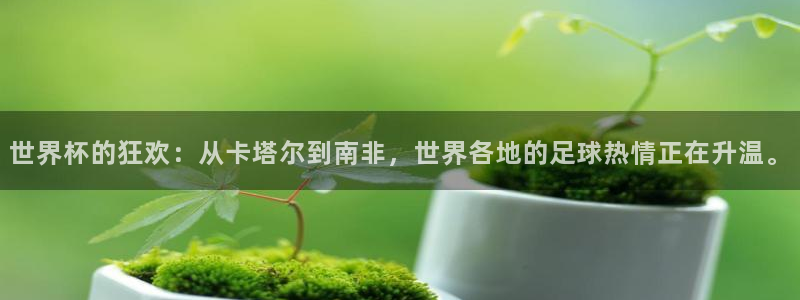 世界杯决赛预测:世界杯的狂欢:从卡塔尔到南非,世界各地的足球热情正在升温。