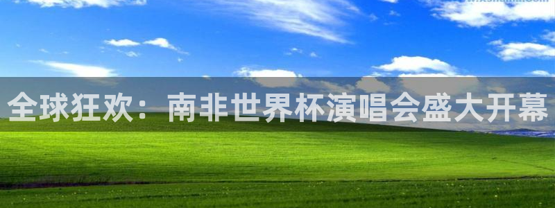 世界杯系列赛:全球狂欢:南非世界杯演唱会盛大开幕