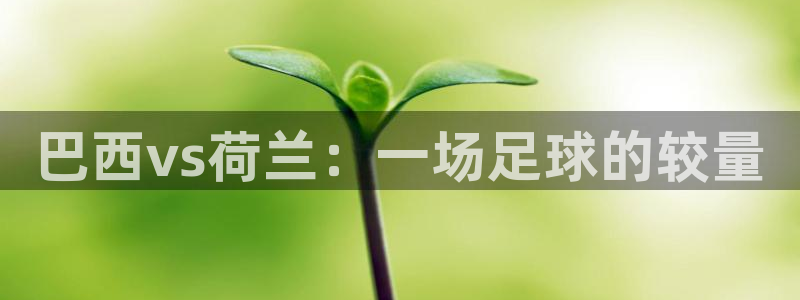 世界杯直播免费观看:巴西vs荷兰:一场足球的较量