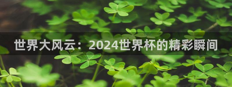 世界杯视频:世界大风云:2024世界杯的精彩瞬间