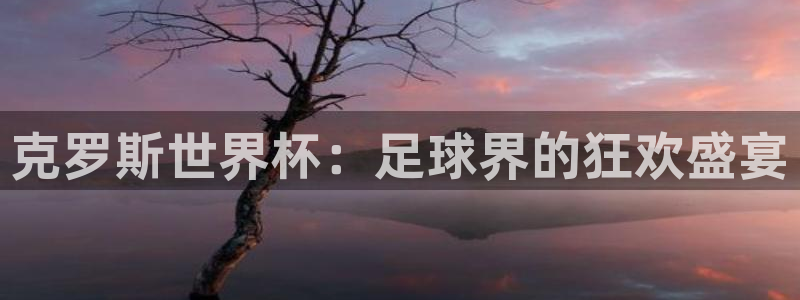 世界杯足球:克罗斯世界杯:足球界的狂欢盛宴